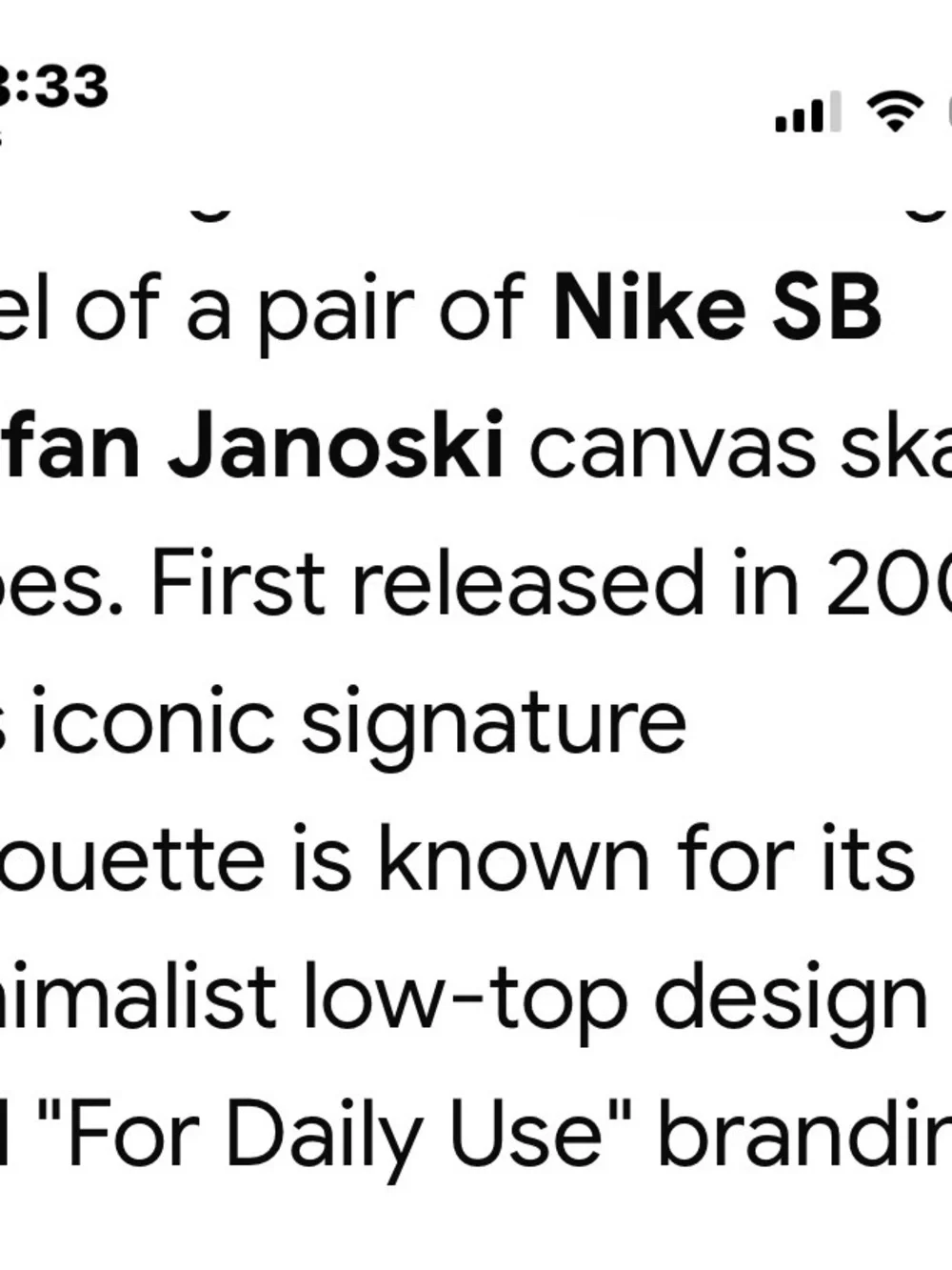Nike Skate Sneakers Grey Stefan Janoski